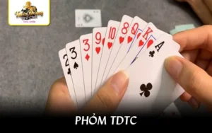 phom-tdtc-thumb